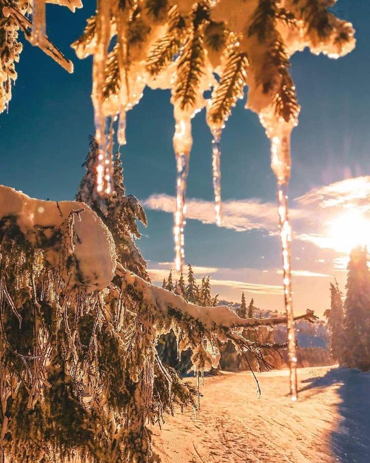Sans Lux Apartman N42 Milmari Kopaonik Exterior foto